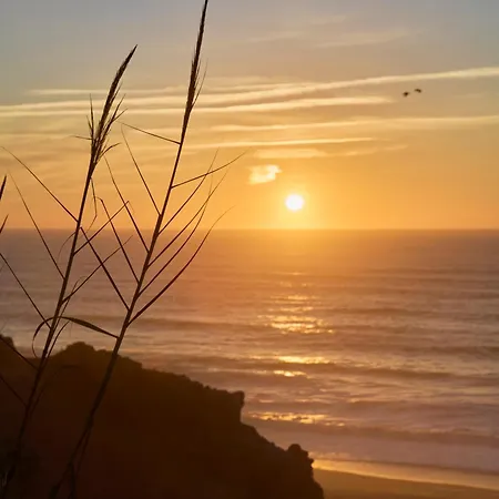 Wander Surf House Hostal *