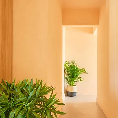 Wander Surf House * Santa Cruz (Oeste)